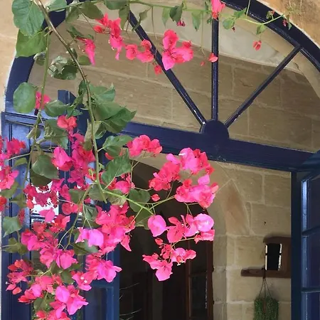 Botanica לינה וארוחת בוקר 4*