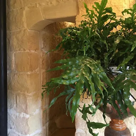 Botanica לינה וארוחת בוקר 4*
