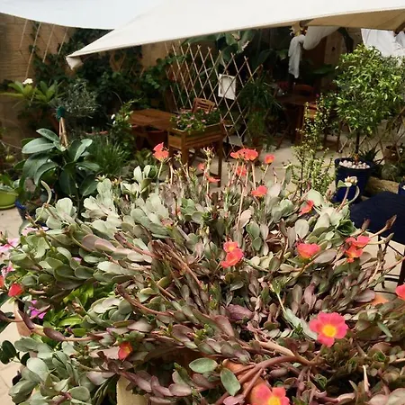 Botanica Bed & Breakfast Xagħra