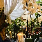 Botanica