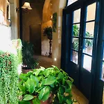 ベッド・アンド・ブレックファスト Botanica Xagħra