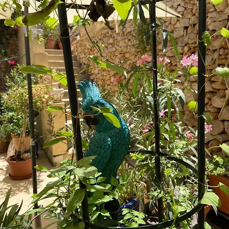Botanica * Xagħra