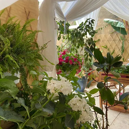 Botanica Frühstückspension *
