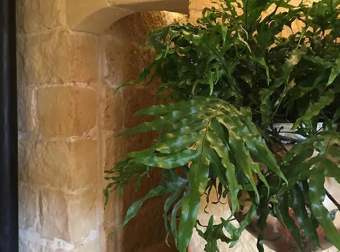 Botanica Bed & Breakfast 4*