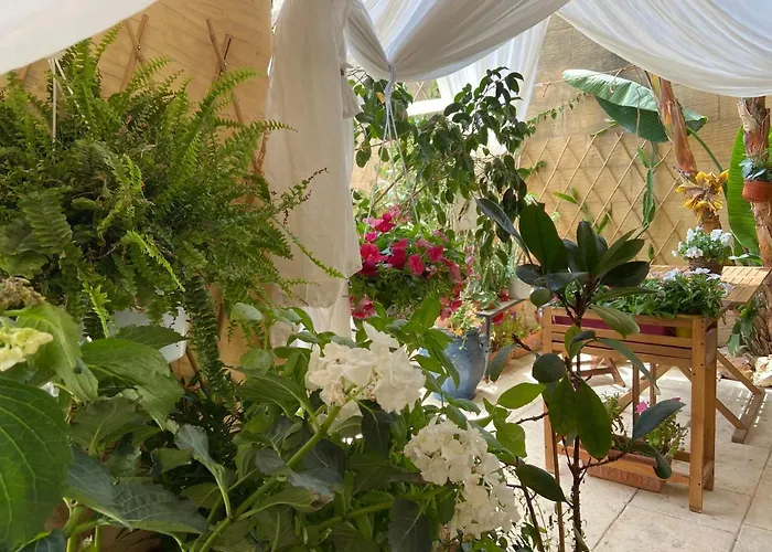 Botanica 住宿加早餐酒店 4*